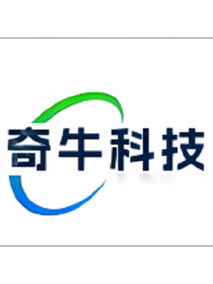 智能驅動 計算機系統服務與人工智能軟件開發的全景解析