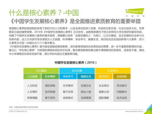 2021年中國(guó)素質(zhì)教育行業(yè)趨勢(shì)洞察報(bào)告 教育咨詢服務(wù)的變革與機(jī)遇