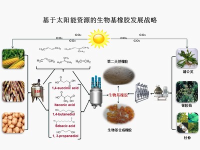 &ldquo;十三五&rdquo;國家重點(diǎn)研發(fā)計(jì)劃項(xiàng)目&ldquo;新型生物基橡膠材料制備技術(shù)與應(yīng)用示范&rdquo;順利通過項(xiàng)目綜合績效評價(jià)