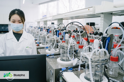 【首發(fā)】藍(lán)晶微生物完成累計15億人民幣B系列融資,加速落地「T型」發(fā)展戰(zhàn)略