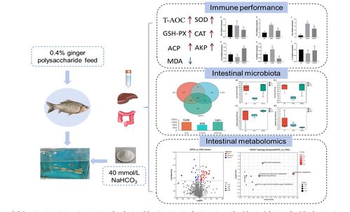 中國水產(chǎn)科學研究院在鹽堿水域養(yǎng)殖與生物基材料技術研發(fā)領域取得新進展