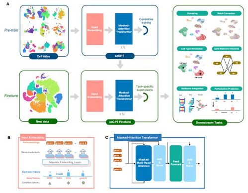 首個單細胞生物學基礎大型語言模型 生物基材料技術研發的新里程碑
